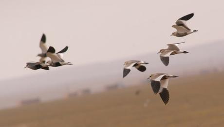 Örnek haber adı gelecek.