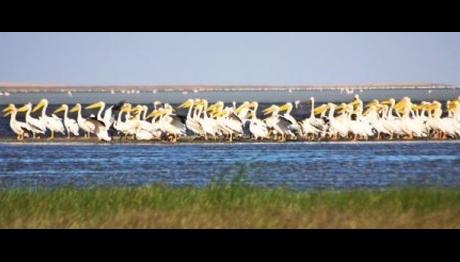 Örnek haber adı gelecek.