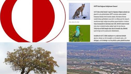 Örnek haber adı gelecek.