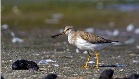 Örnek haber adı gelecek.