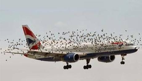 Örnek haber adı gelecek.