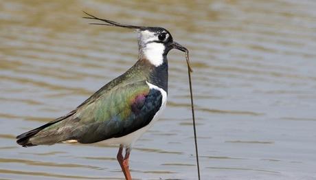 Örnek haber adı gelecek.