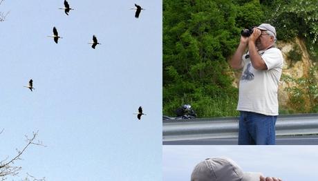 Ümit abiden göç gözlemleri