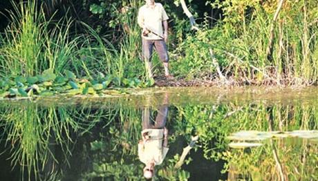 Longoz Sizi Çağırıyor