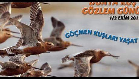 Dünya Kuş Gözlem Günü 2011