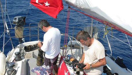 Fırtına Kırlangıcı