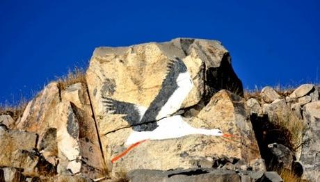 Leylekler Artık Hiç Gitmeyecek