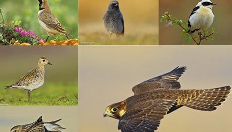 Örnek haber adı gelecek.