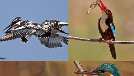 Örnek haber adı gelecek.