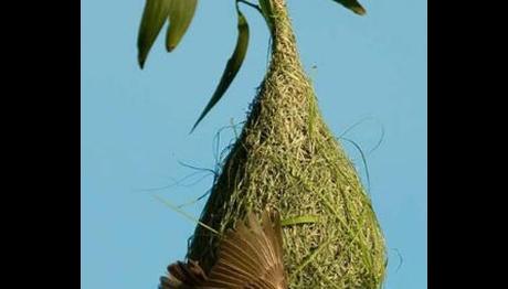 Örnek haber adı gelecek.