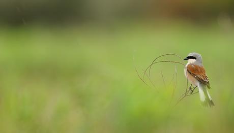 En çok pozu alınan,az alınan,hiç alınamayan?