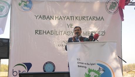 İlk Yaban Hayatı Kurtarma ve Rehabilitasyon Merkezimiz Açıldı