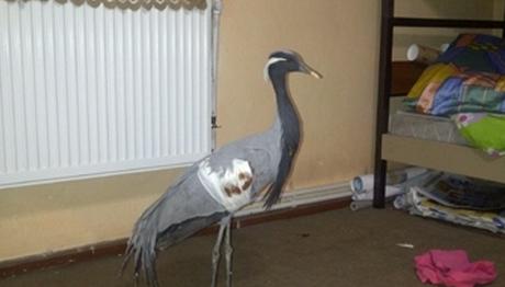 Örnek haber adı gelecek.