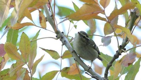 İstanbul Moda dan müthiş kayıt