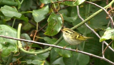 Örnek haber adı gelecek.
