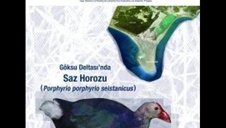 Örnek haber adı gelecek.