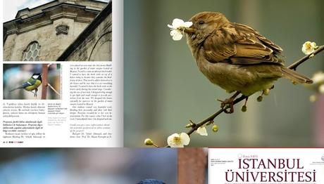 Örnek haber adı gelecek.