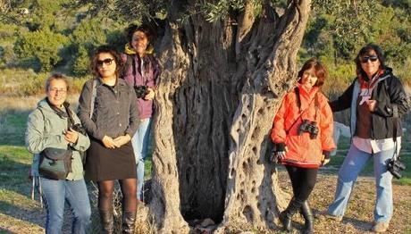 Örnek haber adı gelecek.