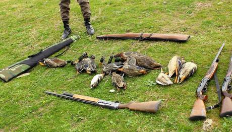 Örnek haber adı gelecek.