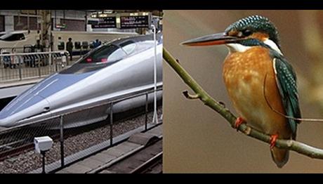 DOĞANIN İNOVASYONU