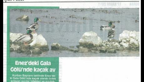 Örnek haber adı gelecek.