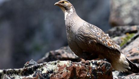 Örnek haber adı gelecek.