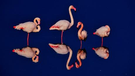 Örnek haber adı gelecek.