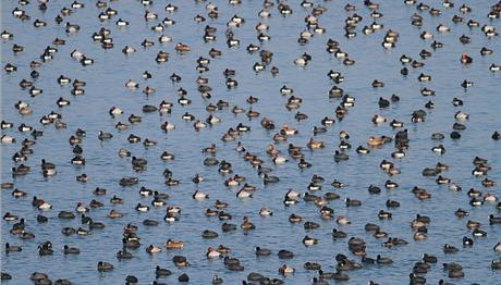 Örnek haber adı gelecek.