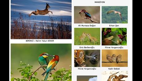 Örnek haber adı gelecek.