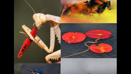 Örnek haber adı gelecek.