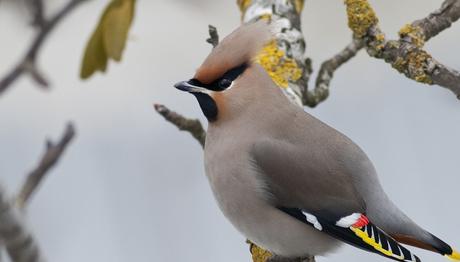 Örnek haber adı gelecek.