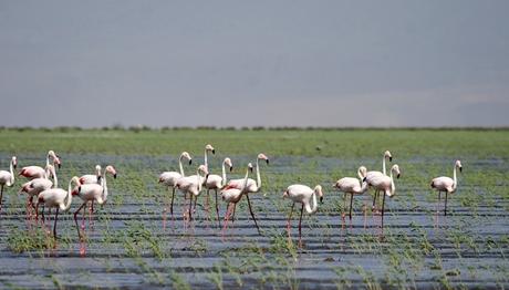 Örnek haber adı gelecek.