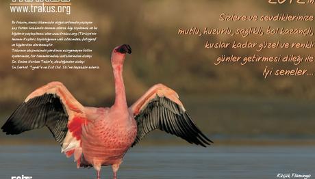 TRAKUS MASA TAKVİMİ  2012