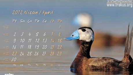 Örnek haber adı gelecek.