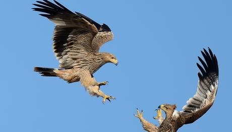 Örnek haber adı gelecek.