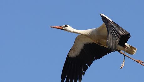 Kuraklaşan Türkiye'nin Umudu: Marmara Gölü