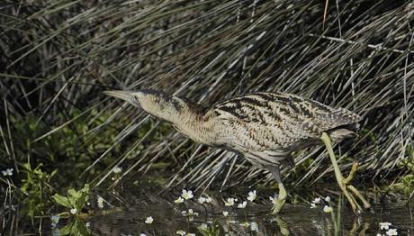 Örnek haber adı gelecek.