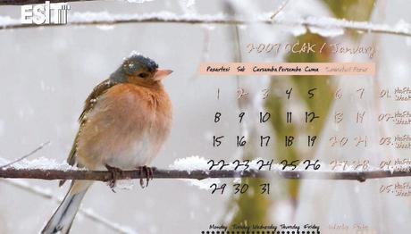 Örnek haber adı gelecek.