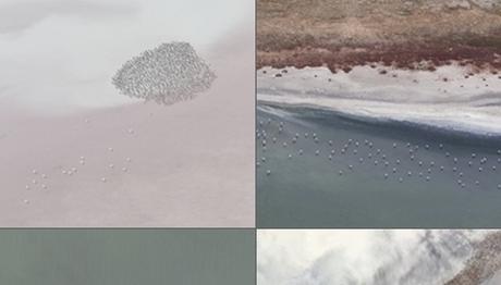 Örnek haber adı gelecek.