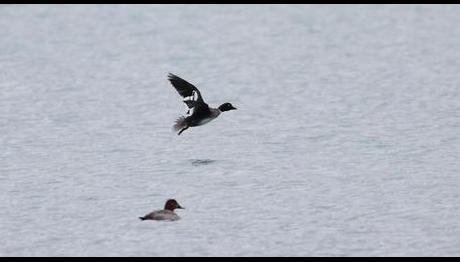 Bu soğuk günlerde kıyılar...