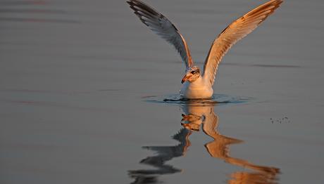 KOSKS 2012 tamamlandı