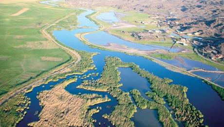 Karasu Aralık Sazlıkları Doğu Anadolu nun Son Sığınağı...