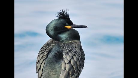 Örnek haber adı gelecek.