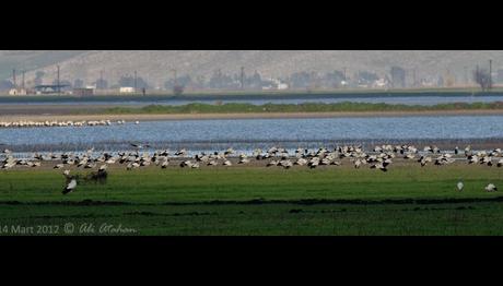 Örnek haber adı gelecek.