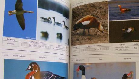 Örnek haber adı gelecek.