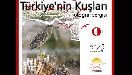 Örnek haber adı gelecek.