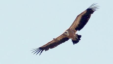 Örnek haber adı gelecek.