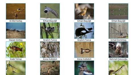 YARIŞMA SONUÇLARI AÇIKLANDI