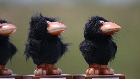 Trakus VIII Yarışma sonuçları