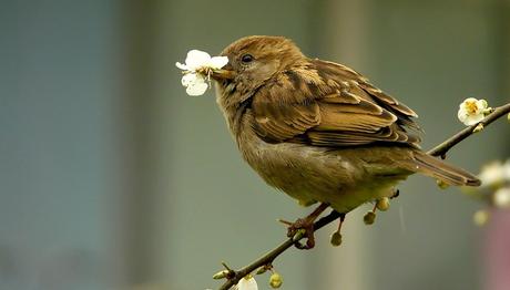 Örnek haber adı gelecek.